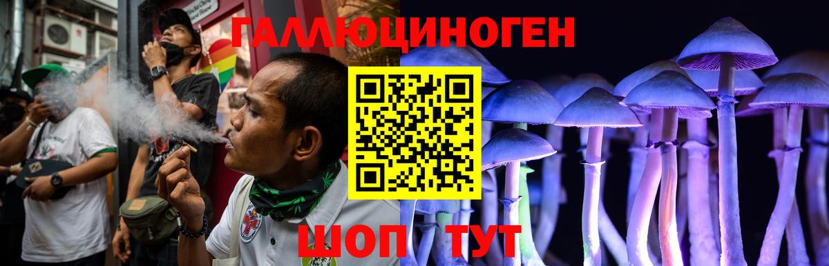 Новодвинск  Галлюциногенные грибы GOLDEN TEACHER  Галлюциногенные грибы Cubensis  Вход с VPN 