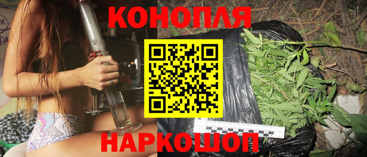 Бошки Шишки марихуана Новодвинск